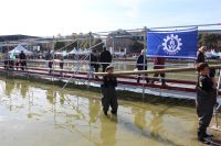 img_3972 gro
